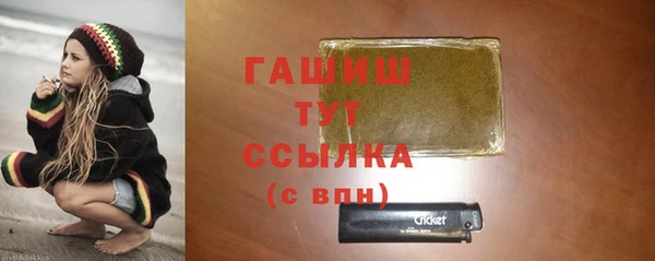 гидра Надым