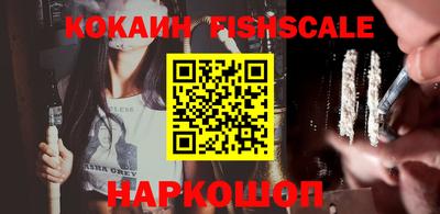 Альфа ПВП Бийск