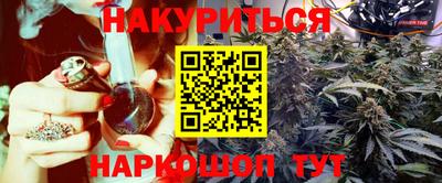 Альфа ПВП Бийск