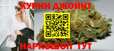 Альфа ПВП Бийск