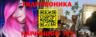 спиды Волгодонск