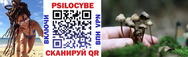 Галлюциногенные грибы Psilocybe  Ульяновск 