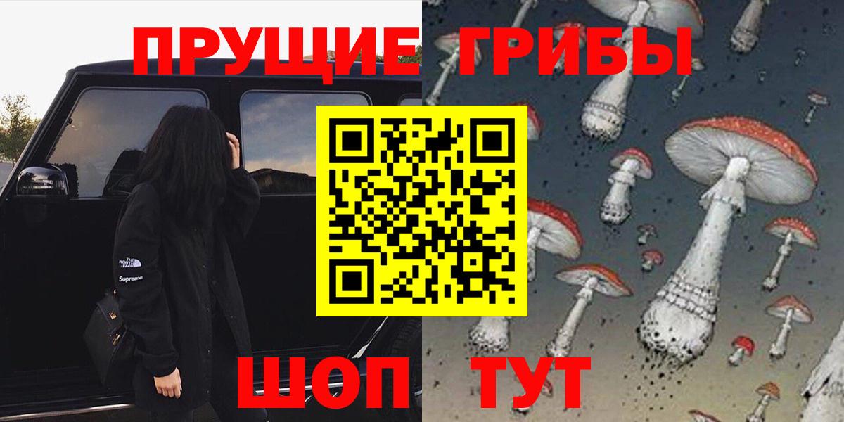 Псилоцибиновые грибы Psilocybe Ульяновск